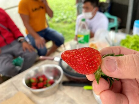 {{brizy_dc_image_alt imageSrc=